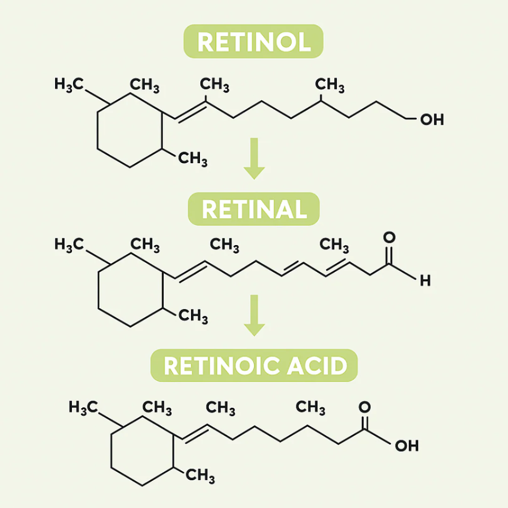 Lyvonelle™ – Die neue Alternative zu Retinol