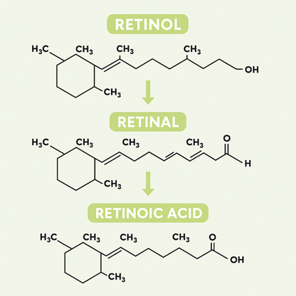 Lyvonelle™ – Die neue Alternative zu Retinol